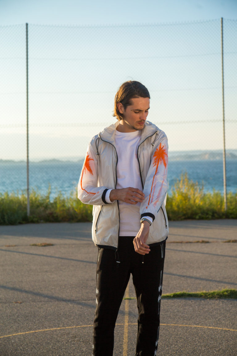 WINDBREAKER TRANSPARENT PALM - Image 5